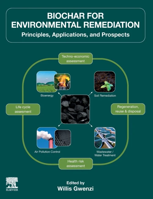 Biochar for Environmental Remediation: Principles, Applications, and Prospects