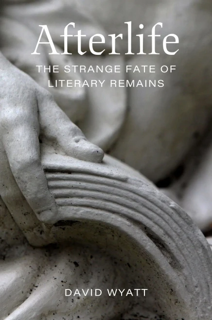 Afterlife: The Strange Fate of Literary Remains - (Hardback or Cased Book)