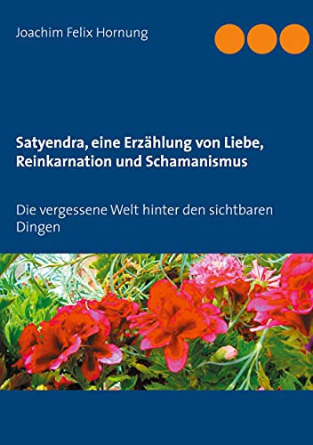 Satyendra, Eine Erz?Ñhlung Von Liebe, Reinkarnation Und Schamanismus: Die Vergessene Welt Hinter Den Sichtbaren Dingen (German Edition)