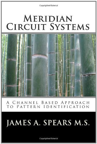 Meridian Circuit Systems: A Channel Based Approach To Pattern Identification