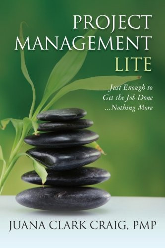 Project Management Lite: Just Enough To Get The Job Done...Nothing More