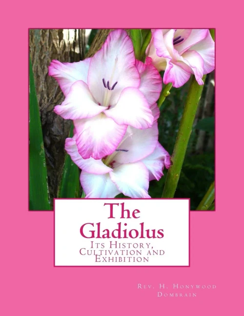 The Gladiolus: Its History, Cultivation And Exhibition