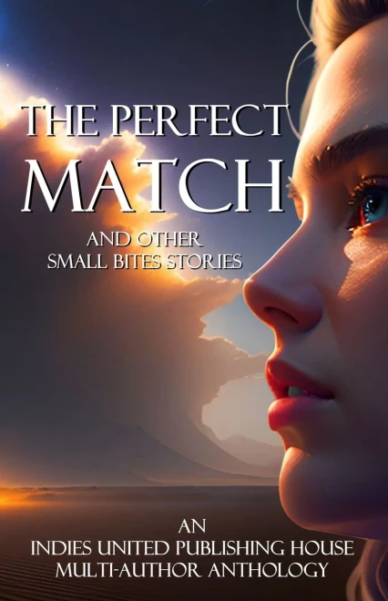The Perfect Match: and other small bites stories - (Paperback or Softback)