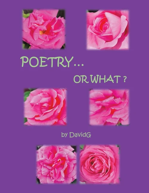 Poetry...or What? - (Paperback or Softback)