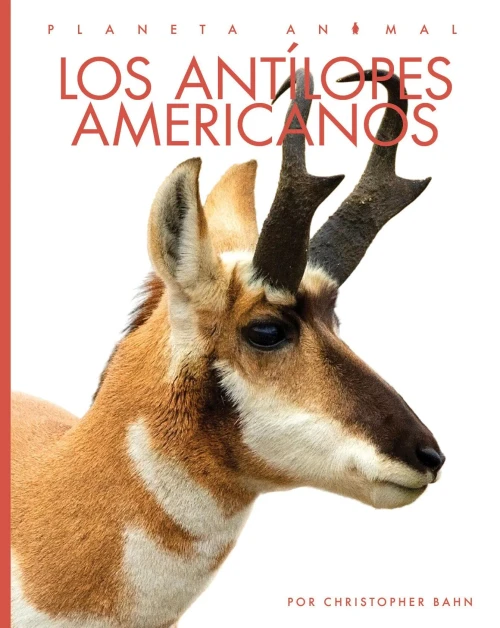Los Antilopes Americanos