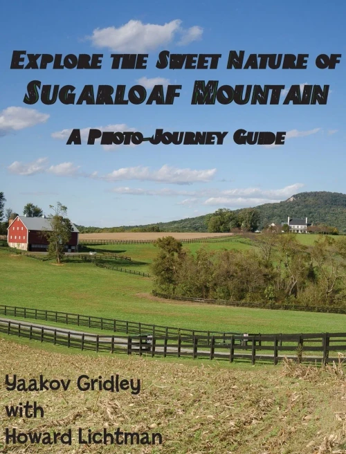 Explore the Sweet Nature of Sugarloaf Mountain: A Photo-Journey Guide - (Hardback or Cased Book)