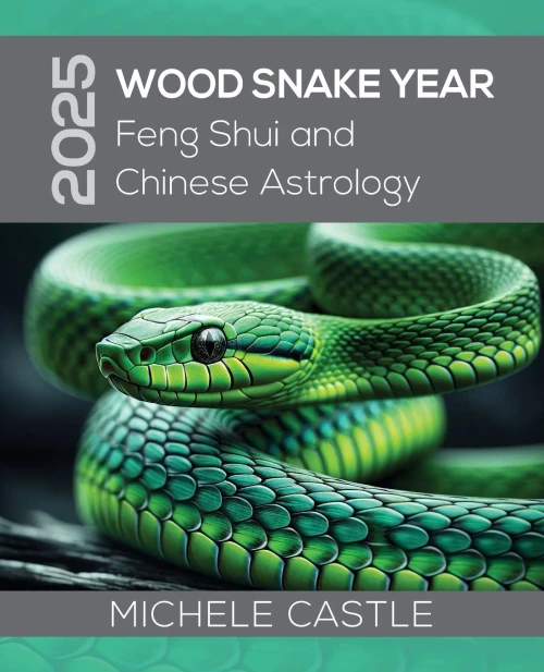2025 Wood Snake Year: Feng Shui and Chinese Astrology - (Paperback or Softback)
