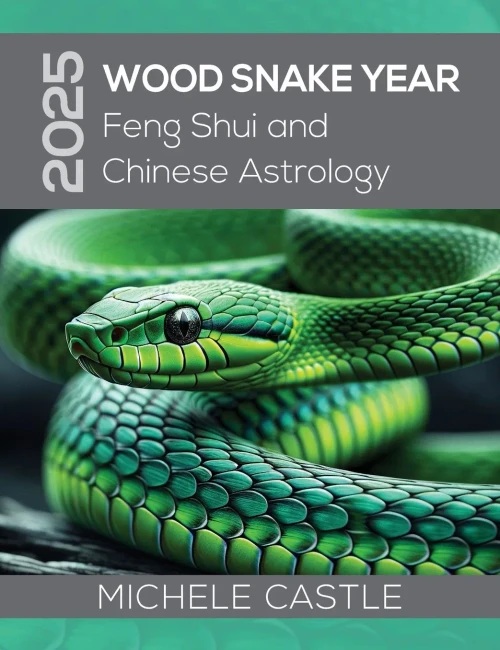 2025 Wood Snake Year: Feng Shui and Chinese Astrology - (Hardback or Cased Book)