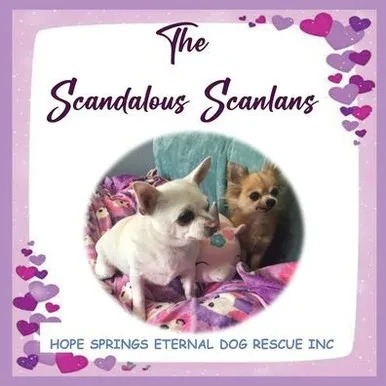 The Scandalous Scanlan's