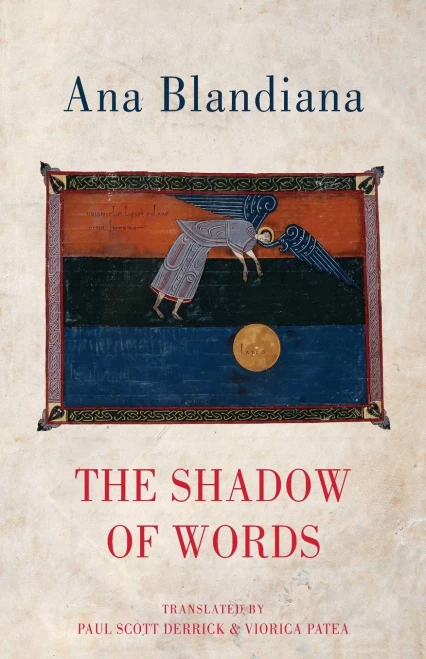 The Shadow of Words