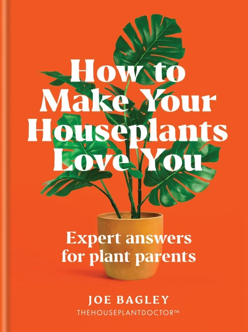 How to Make Your Houseplants Love You: Expert Answers for Plant Parents