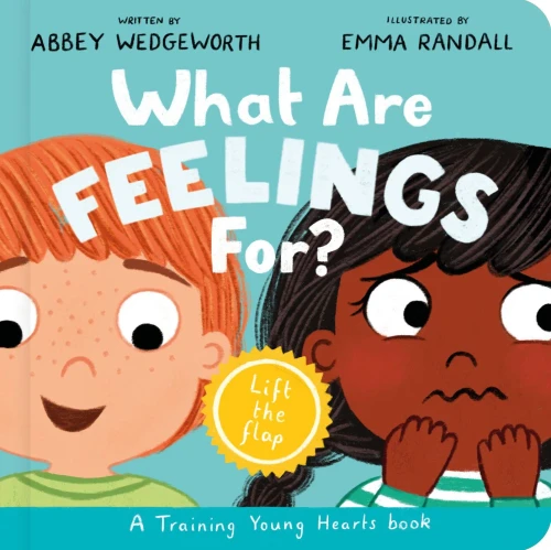 What Are Feelings For? Board Book: A Lift-The-Flap Board Book