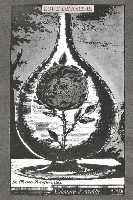 Love Immortal - The Poetry of Love: 33 Romantic (and Anti-Romantic) Poems to Bring Hearts Closer, Heal Heartache and Discover Love Eternal Now [10th A