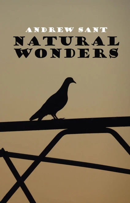 Natural Wonders - 9781923099678