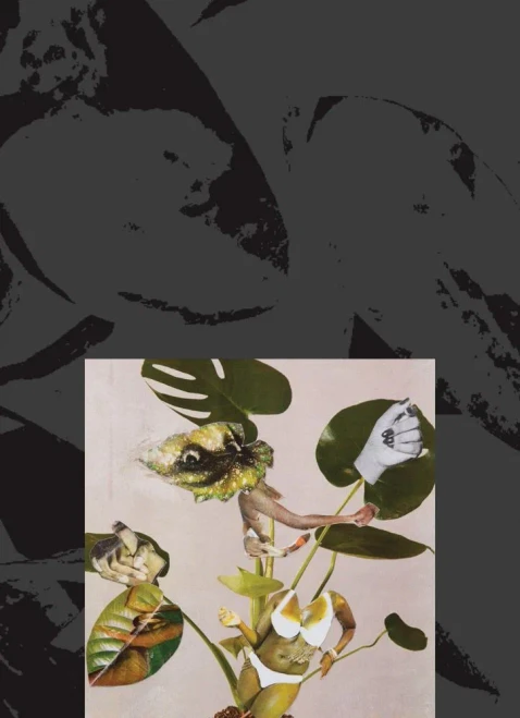 Kandis Williams: A Surface