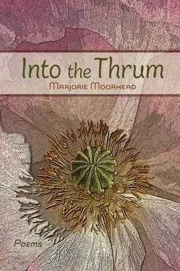 Into the Thrum