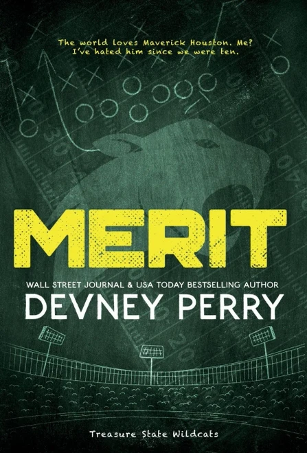 Merit - (Hardback or Cased Book)