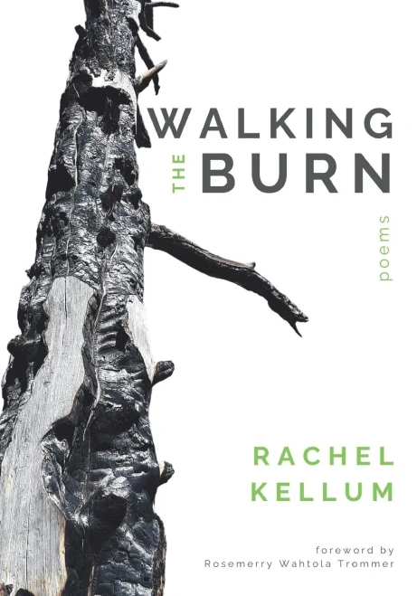 Walking the Burn