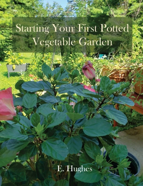 Starting Your First Potted Vegetable Garden: How to Create a Garden Oasis (A Guide) - (Paperback or Softback)
