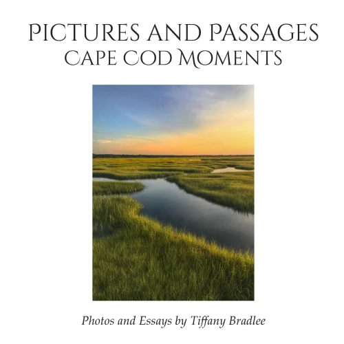 Pictures and Passages: Cape Cod Moments