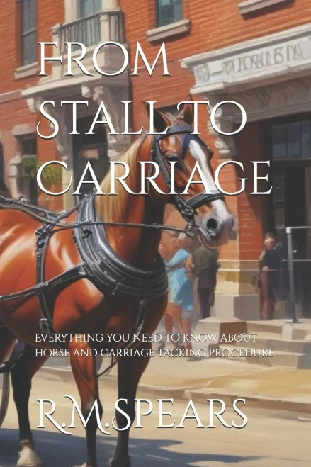 From Stall To Carriage: Everything you need to know about horse and carriage tacking procedure