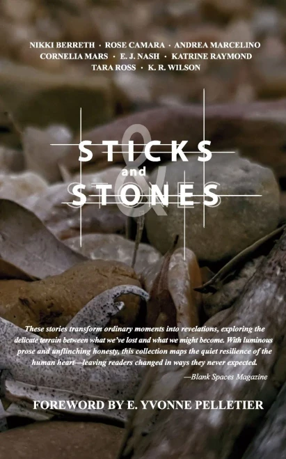 Sticks and Stones - 9781990336904