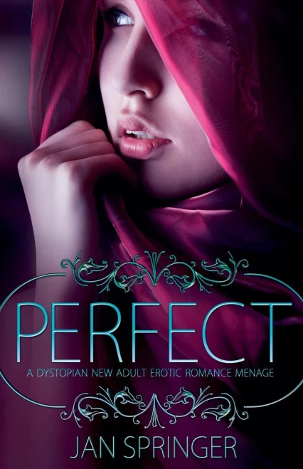 Perfect - 9781990658594
