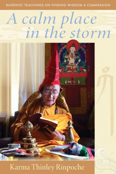 A Calm Place in the Storm: Buddhist Teachings on Finding Wisdom and Compassion - (Paperback or Softback)