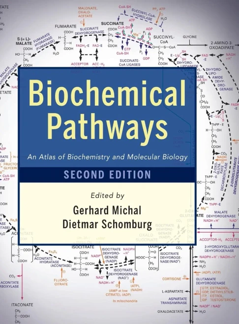 Biochemical Pathways: An Atlas Of Biochemistry And Molecular Biology
