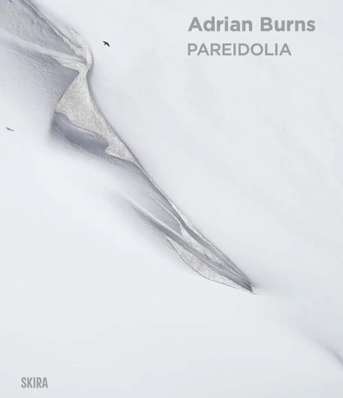 Adrian Burns: Pareidolia