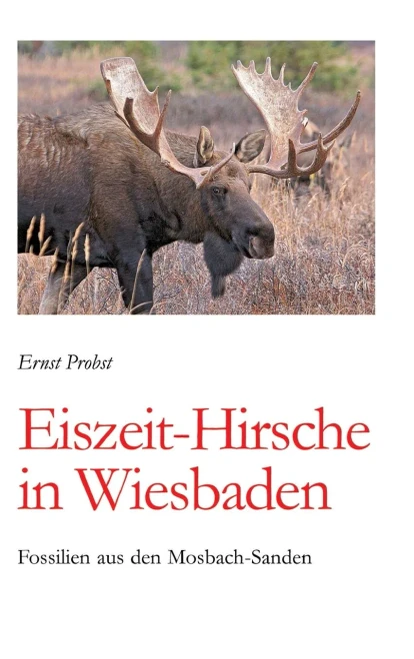 Eiszeit-Hirsche in Wiesbaden: Fossilien aus den Mosbach-Sanden