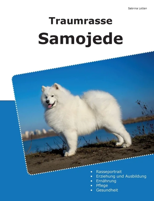 Traumrasse Samojede