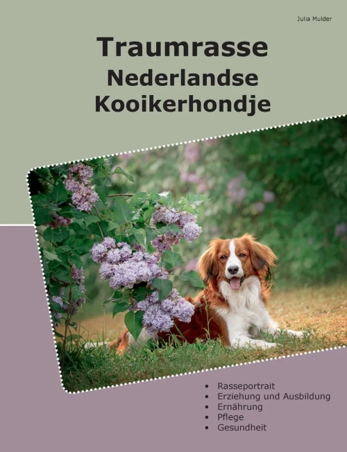 Traumrasse Nederlandse Kooikerhondje