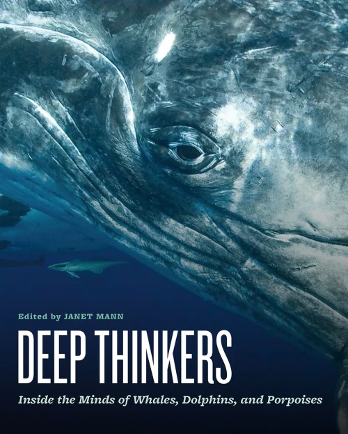 Deep Thinkers: Inside The Minds Of Whales, Dolphins, And Porpoises