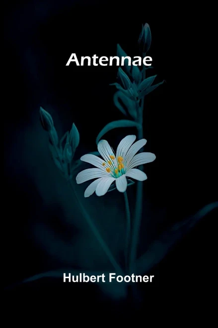 Antennae - 9789367248126