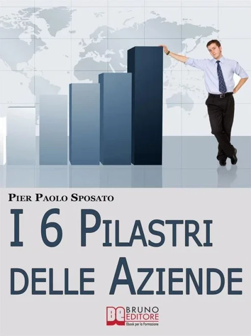 I 6 Pilastri Delle Aziende: Come Costruire Solide Fondamenta Per La Tua Azienda Per Affrontare I Periodi Di Crisi E Uscirne Vincenti (Italian Edition)