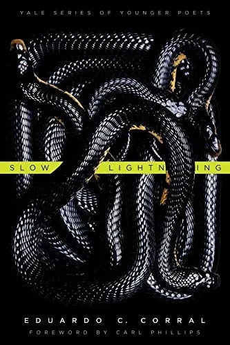 Slow Lightning (Volume 106) (Yale Series Of Younger Poets)