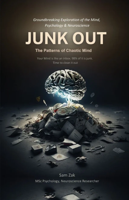 Junk Out: The Patterns of Chaotic Mind - (Paperback or Softback)
