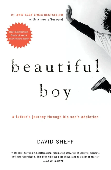 Beautiful Boy: A Father'S Journey Through His Son'S Addiction