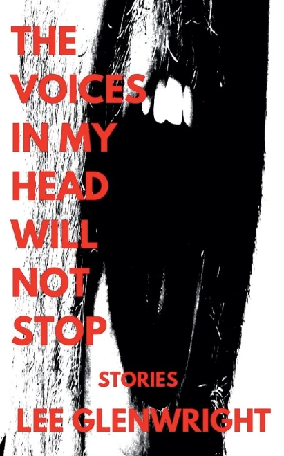 The Voices in My Head Will Not Stop: Stories