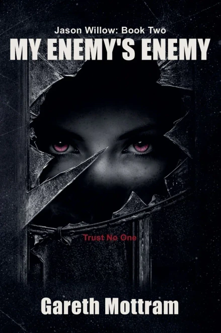 Jason Willow 2 - My Enemy's Enemy