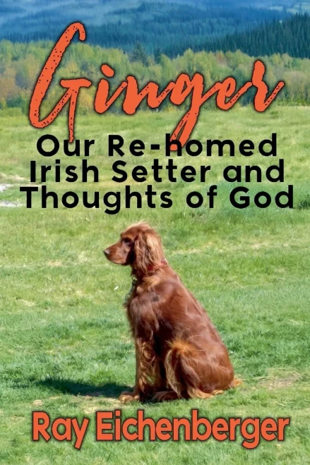 Ginger- Our Re-homed Irish Setter and Thoughts of God