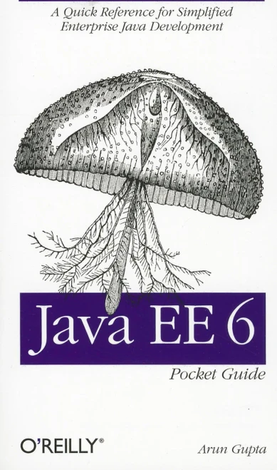 Java Ee 6 Pocket Guide: A Quick Reference For Simplified Enterprise Java Development