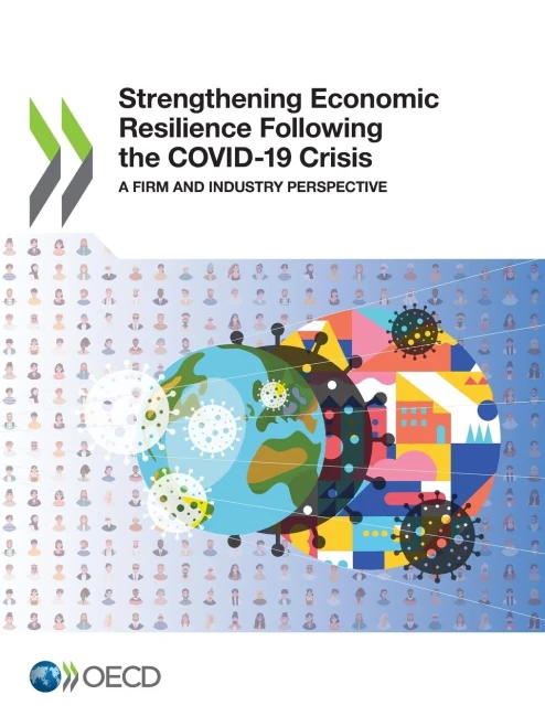 Strengthening Economic Resilience Following The Covid-19 Crisis A Firm And Industry Perspective