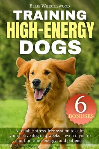 Training High-Energy Dogs: A stress-free system to calm your active dog-even if you're short on time, energy, and patience