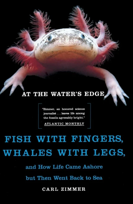 At The Water'S Edge : Fish With Fingers, Whales With Legs, And How Life Came Ashore But Then Went Back To Sea