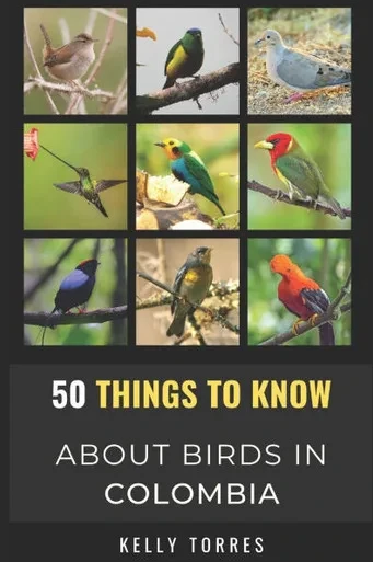 50 Things To Know About Birds In Colombia: Exploring Colombia's Diverse Flying Creatures