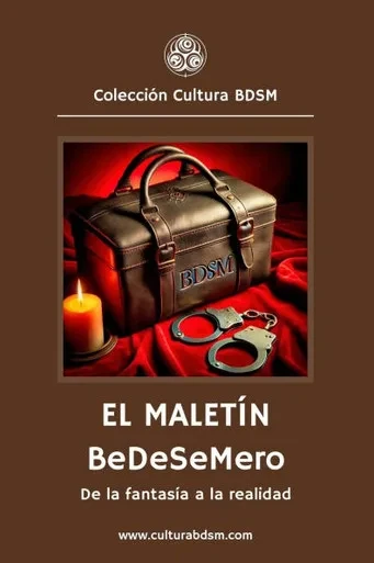 El Maletín BeDeSeMero: De la fantasía a la realidad