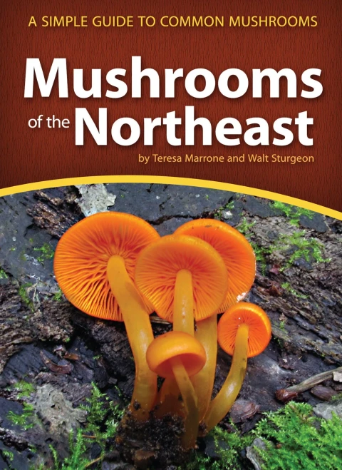 Mushrooms Of The Northeast: A Simple Guide To Common Mushrooms (Mushroom Guides)