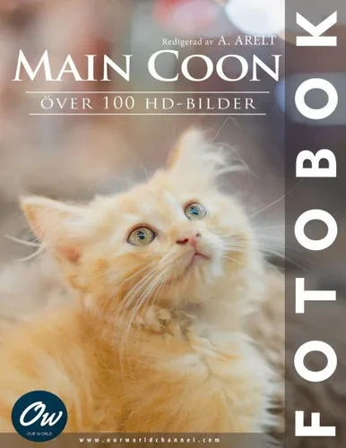 Main Coon: Fotobok